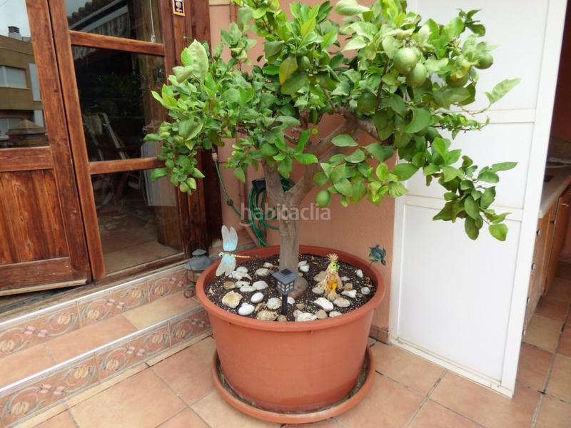 Foto 7430bc36-fe0e-4dd6-b0a2-f129ad5df081. Casa con riscaldamento parcheggio in Crevillente