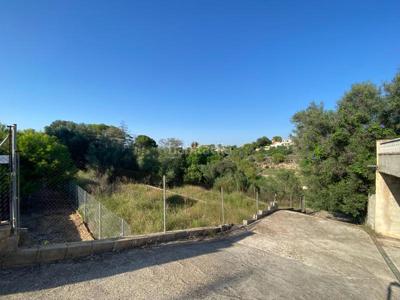 Foto a6ee144e-28fb-4958-939f-78dd7d0dd78b. Terreno residenziale in Urbanitzacions i Pedanies Nord Alzira