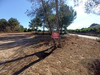 Terreny residencial a Alberic. Se vende parcela urbanizable de 3.400m2 en la urbanización de sa