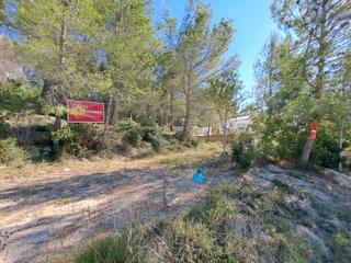 Terrain résidentiel à Urbanitzacions i Pedanies Nord. Se vende solar 1900 m2 en urbanización san bernat en alzira