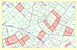 Finca rústica a Alcúdia (l´). Venta de 13 fincas rústicas en polígono 25 en carlet