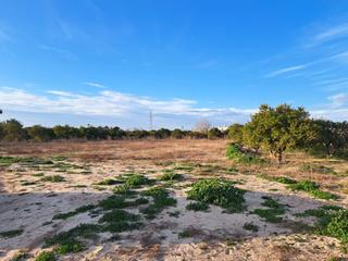 Finca rústica a Urbanitzacions i Pedanies Nord. Terreno rustico sin cultivar