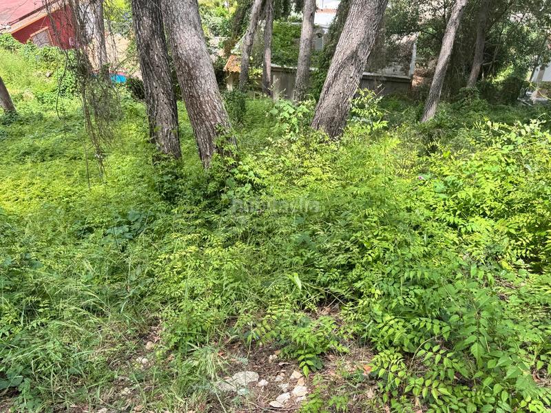 Foto 2e988285-2d5b-4270-afff-830872f952f7. Terrain résidentiel dans Carcaixent