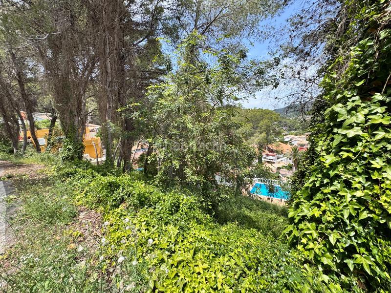 Foto 3a0daae9-8e46-4f67-8d70-3ef215162127. Terrain résidentiel dans Carcaixent