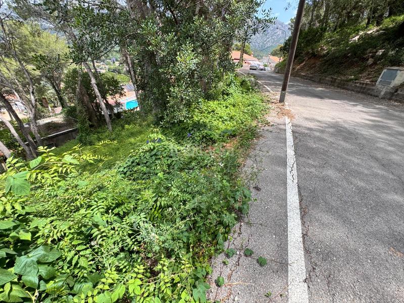 Foto 7152fc2e-4bda-4089-bf0c-211d9bfeaedd. Terrain résidentiel dans Carcaixent