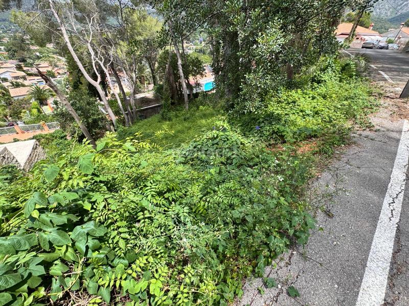 Foto 9a615a7d-31e3-4816-be47-043605a13348. Terrain résidentiel dans Carcaixent