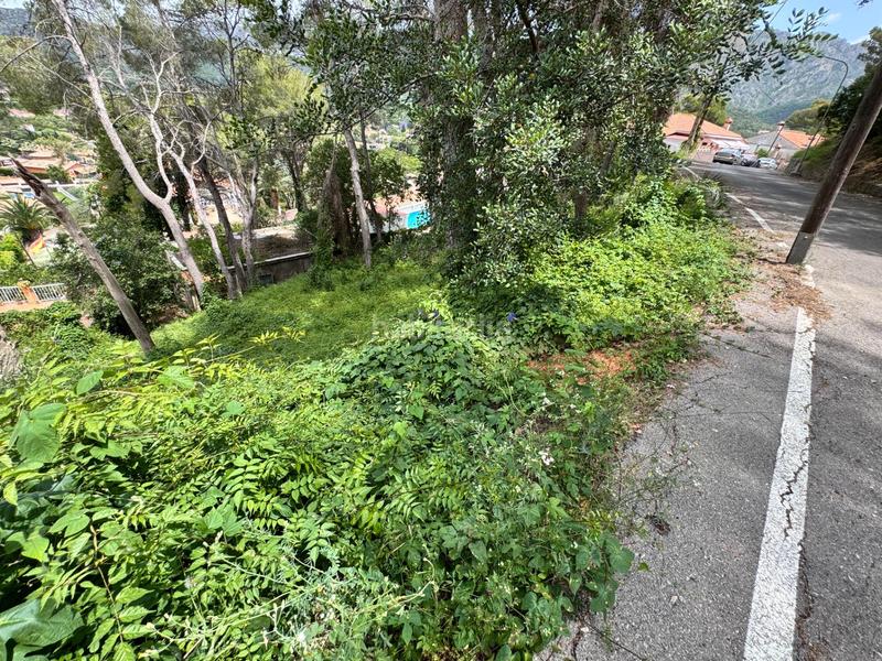 Foto f07b870a-9074-4493-a19c-88387a8c3bf0. Terrain résidentiel dans Carcaixent