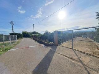 Rural plot in Urbanitzacions i Pedanies Nord. Campo de naranjos en producción