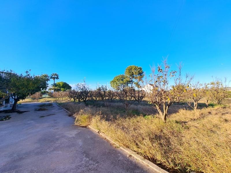 Foto 54e6d7a6-e325-45c1-a481-b31cc76946f0. Xalet amb aparcament piscina a Urbanitzacions i Pedanies Sud Alzira