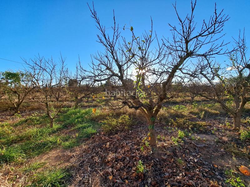 Foto f5193824-8831-48f1-9318-e3d90d41f804. Xalet amb aparcament piscina a Urbanitzacions i Pedanies Sud Alzira