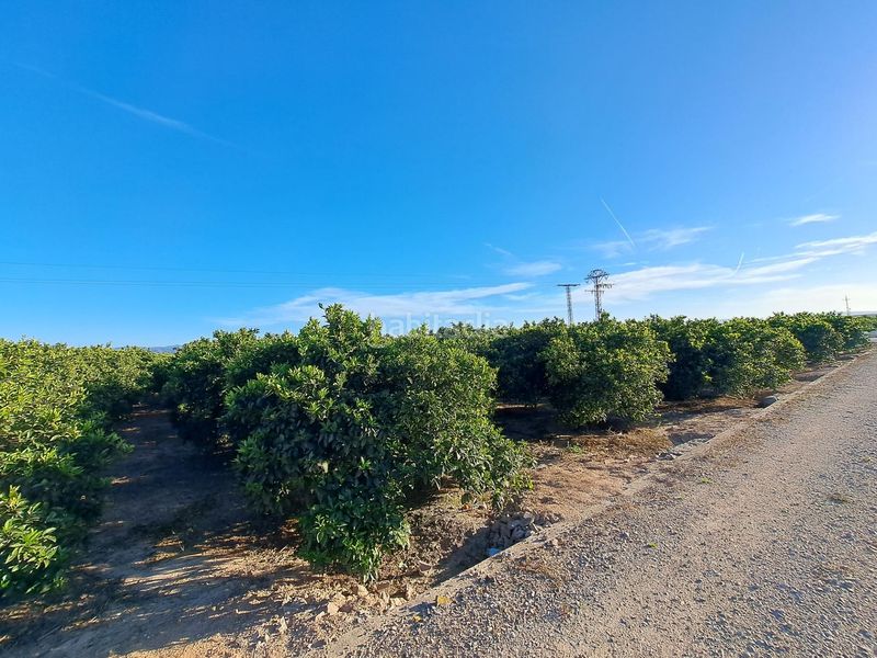 Foto 20563812-ef4e-4747-9c03-31c2675be66c. Finca rústica a Urbanitzacions i Pedanies Nord Alzira