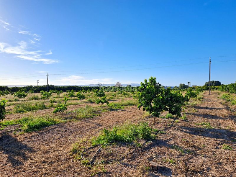 Foto 4c6dc369-8316-4a1c-9b75-053e9c42b610. Finca rústica a Urbanitzacions i Pedanies Nord Alzira