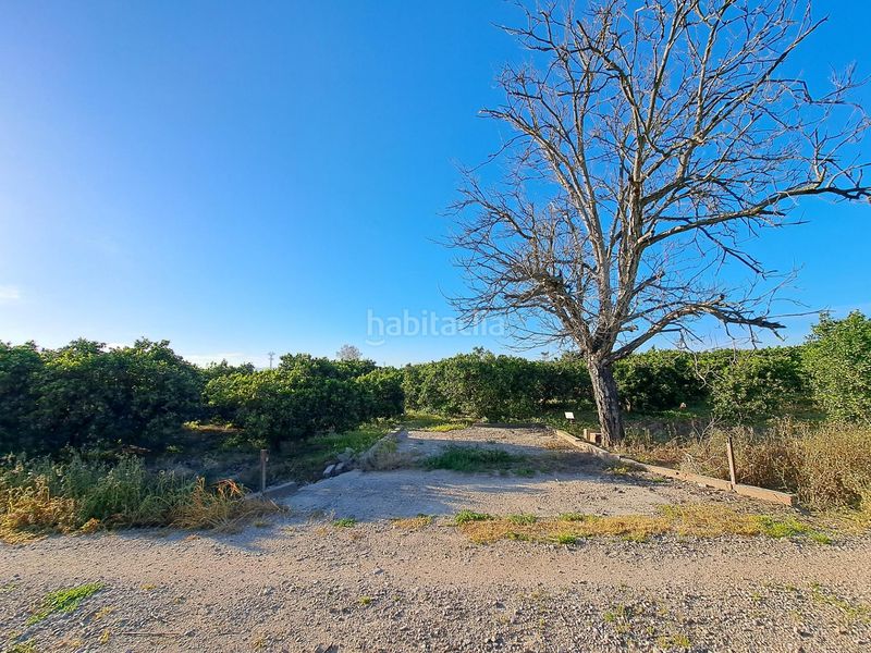 Foto 5822a273-8259-4172-a65d-f9814b84260a. Finca rústica a Urbanitzacions i Pedanies Nord Alzira