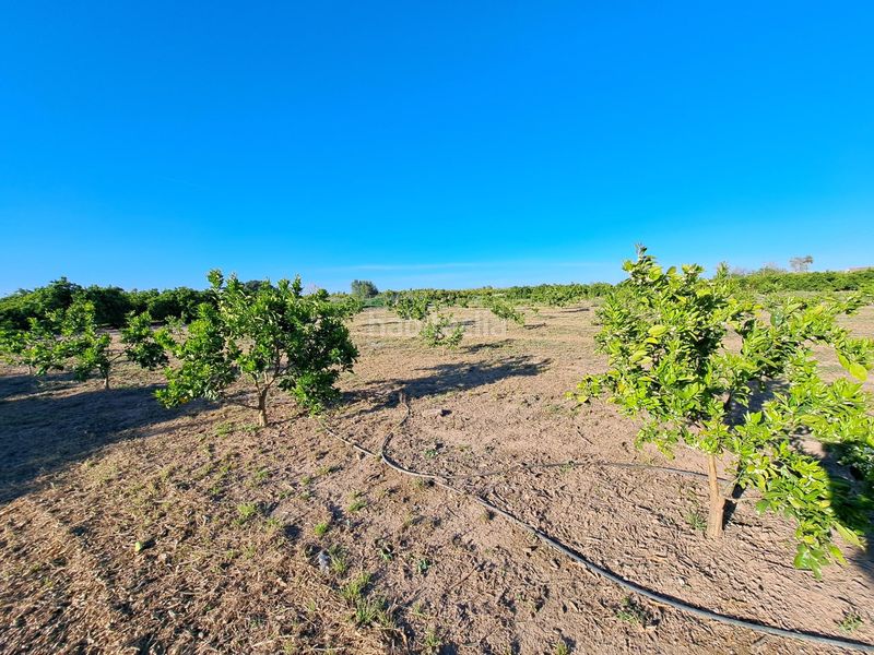 Foto 5cef54ee-7671-488f-a39e-d11d0836c815. Finca rústica a Urbanitzacions i Pedanies Nord Alzira