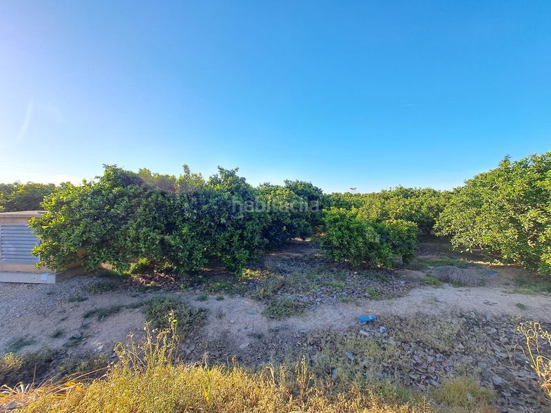 Foto 62363eb8-6ffd-4fdc-8cfc-14d3e8171928. Finca rústica a Urbanitzacions i Pedanies Nord Alzira