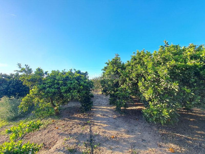 Foto 6a43f76a-49af-4d07-911b-72b933c81c5d. Finca rústica a Urbanitzacions i Pedanies Nord Alzira