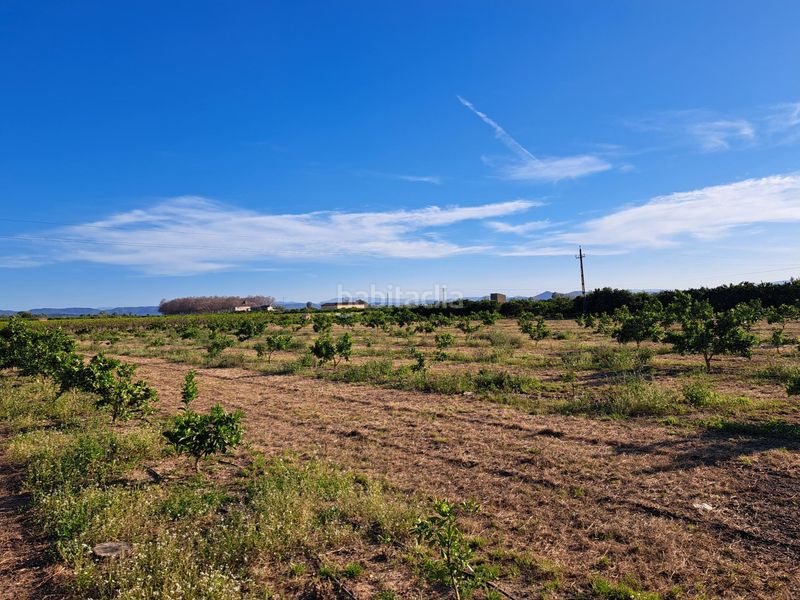 Foto 8076a02f-7df5-432f-9721-7af29df62fe8. Finca rústica a Urbanitzacions i Pedanies Nord Alzira