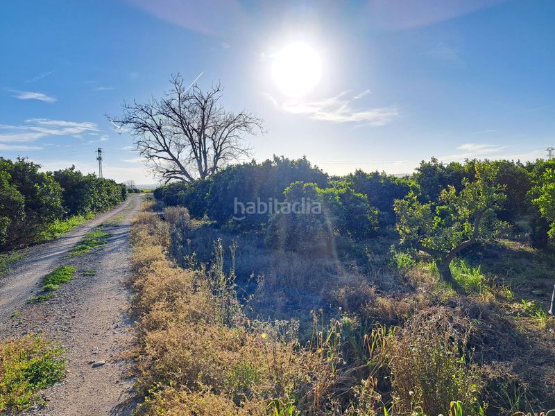 Foto 88515226-8a8e-4958-a3f5-6086b75b0e38. Finca rústica a Urbanitzacions i Pedanies Nord Alzira