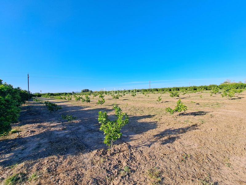 Foto 93687db6-dc5d-4a47-9f30-37594e449cbd. Finca rústica a Urbanitzacions i Pedanies Nord Alzira