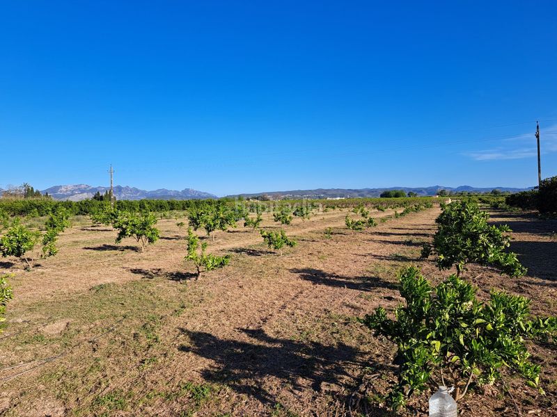 Foto 97c153e2-118d-4016-9d06-c53c034b5482. Finca rústica a Urbanitzacions i Pedanies Nord Alzira