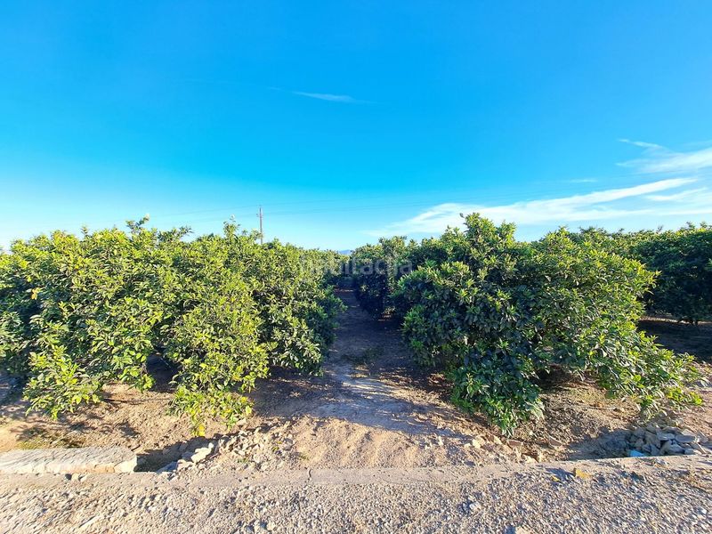 Foto a39192fb-e258-4b34-bf67-bd4ce9cb4812. Finca rústica a Urbanitzacions i Pedanies Nord Alzira