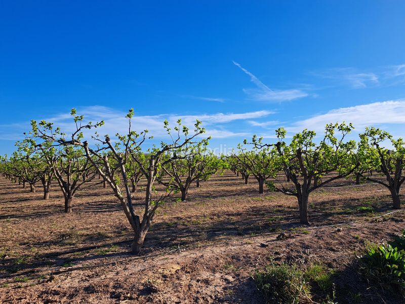 Foto a9067b20-0161-4094-b0ba-e50f3c5dd176. Finca rústica a Urbanitzacions i Pedanies Nord Alzira