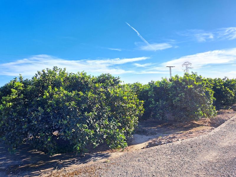 Foto adb8c3d2-fb4e-492a-8a73-42b20a251b00. Finca rústica a Urbanitzacions i Pedanies Nord Alzira