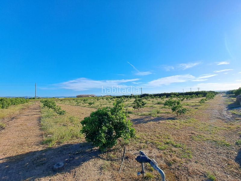 Foto bf8edbba-c077-437d-a7cd-23b3d8d2be56. Finca rústica a Urbanitzacions i Pedanies Nord Alzira