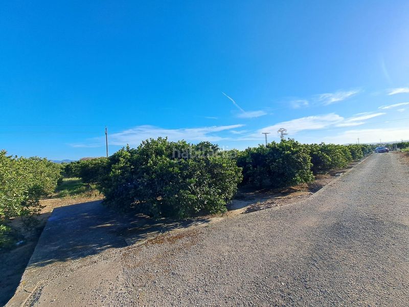 Foto cdc2d124-bc6d-4994-9383-1dee19630064. Finca rústica a Urbanitzacions i Pedanies Nord Alzira