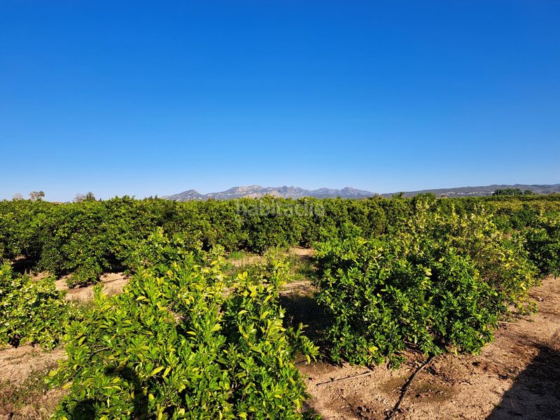 Foto cf0d48d6-7c02-4ade-aa55-6d5a8ecd08ac. Finca rústica a Urbanitzacions i Pedanies Nord Alzira