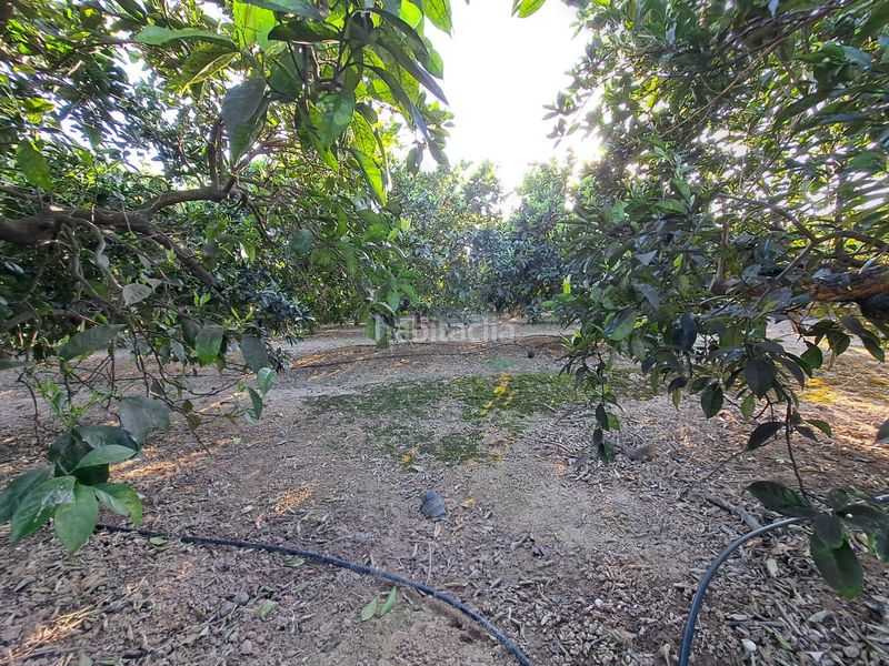 Foto d1244df2-0598-43d9-96e2-590285f617af. Finca rústica a Urbanitzacions i Pedanies Nord Alzira