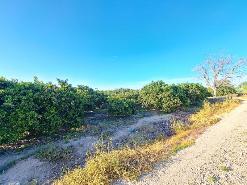 Foto d46518f1-dbdb-4727-89ee-03ab5f71b075. Finca rústica a Urbanitzacions i Pedanies Nord Alzira