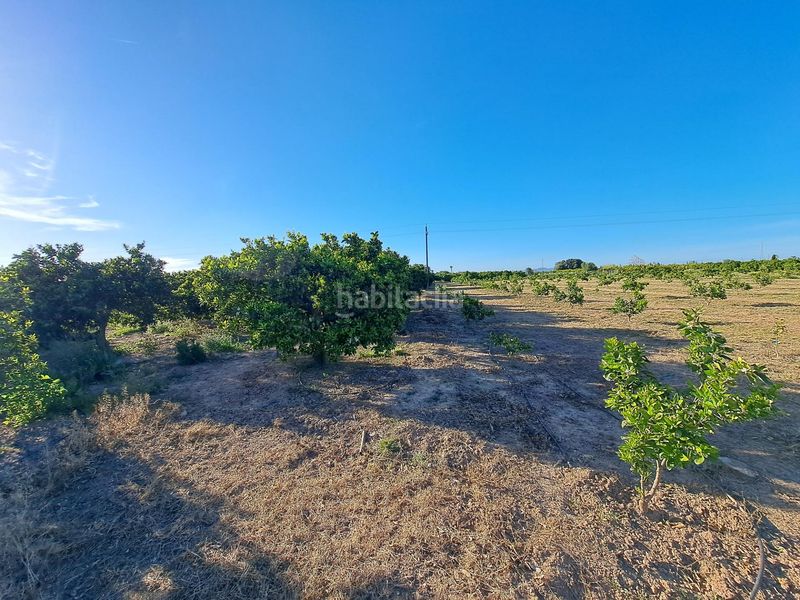 Foto e2c25e22-11ba-49f7-931a-e3ad38044356. Finca rústica a Urbanitzacions i Pedanies Nord Alzira