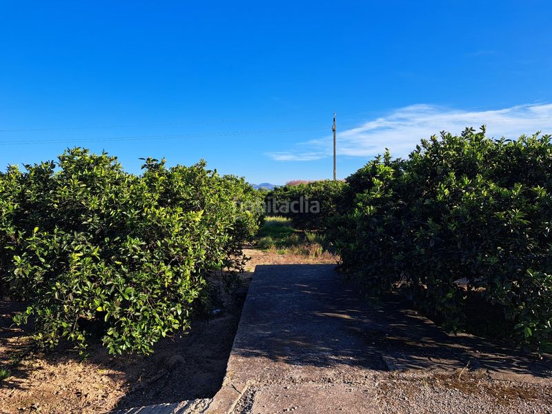 Foto ecf2f0e9-3341-414a-a0da-a3b47d0b1576. Finca rústica a Urbanitzacions i Pedanies Nord Alzira