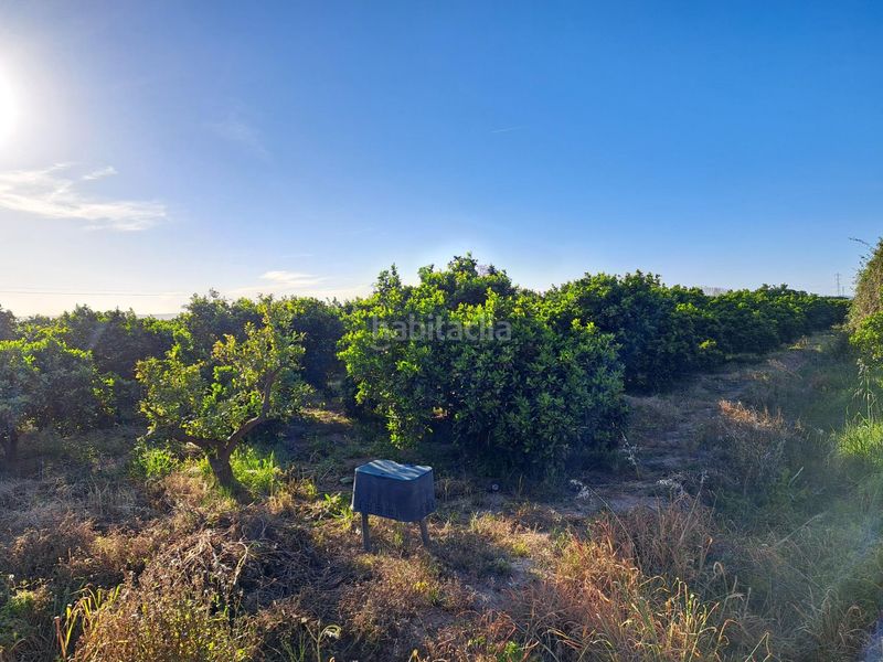 Foto f9e1d7f1-091d-427b-8692-fac663d69162. Finca rústica a Urbanitzacions i Pedanies Nord Alzira