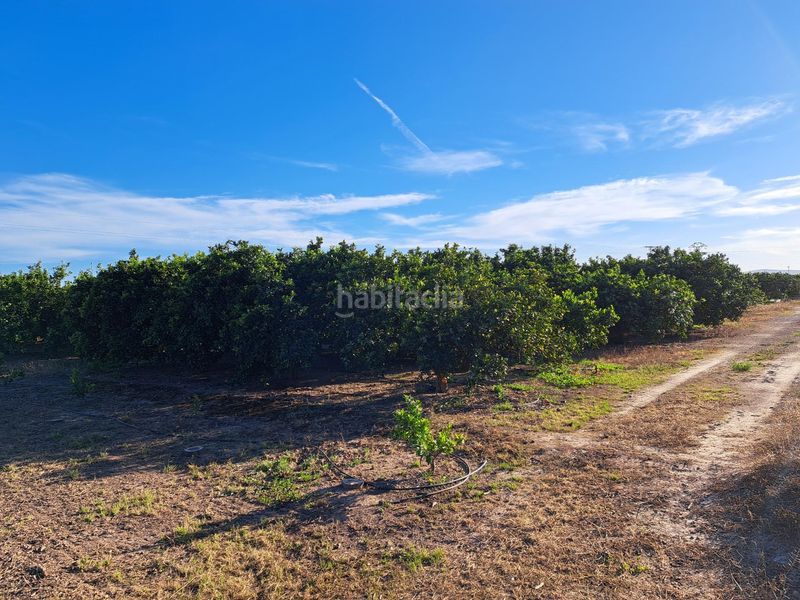 Foto fbe557fb-d2fc-4bfc-a66a-a31a966e977a. Finca rústica a Urbanitzacions i Pedanies Nord Alzira
