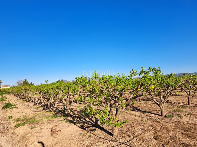 Foto ff25b1d6-5d80-4bbe-af10-092d23221f21. Finca rústica a Urbanitzacions i Pedanies Nord Alzira