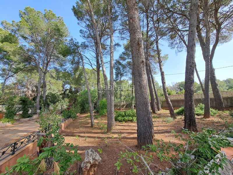 Foto f7ece5ad-8fcd-4ef4-a3c0-17b0bf107fee. Chalet  en venta en valletes de bru en Urbanitzacions i Pedanies Sud Alzira