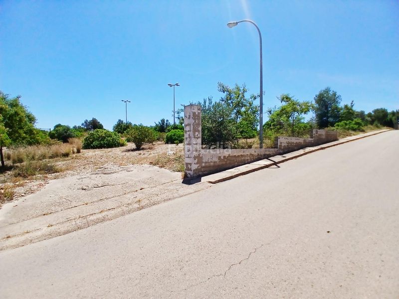 Foto 3fe60d8b-5954-444a-a80c-aa3a8187d1d2. Terreno residencial parcela en venta en la urbanización de san cristóbal en Alberic