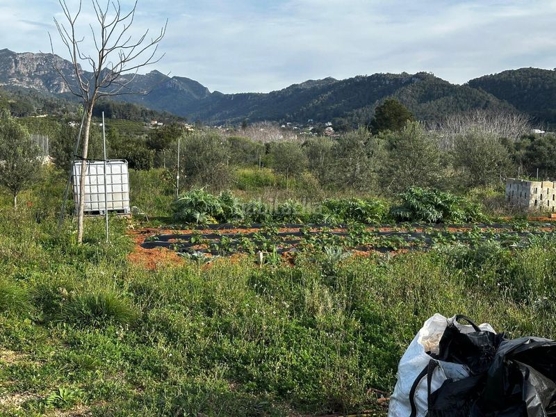 Foto a078644c-bd45-4022-a61d-4a47832784dd. Finca rústica a Urbanitzacions i Pedanies Nord Alzira