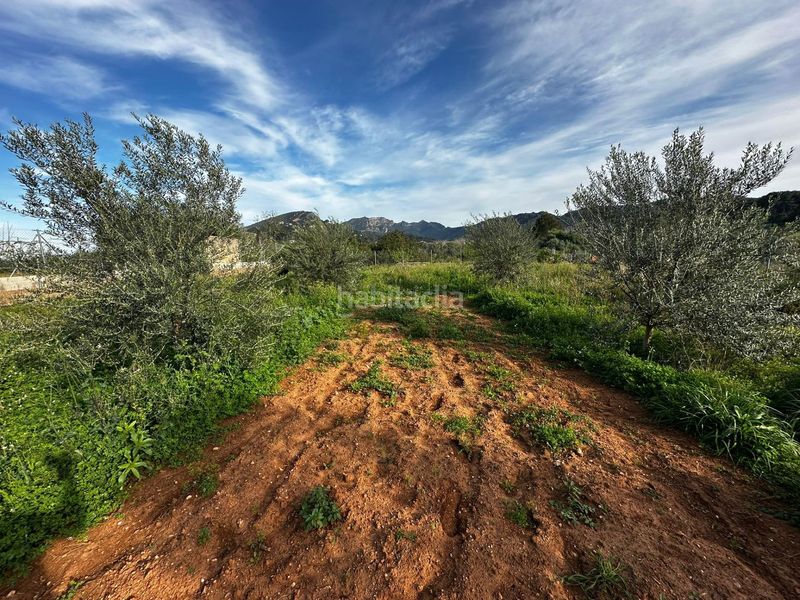 Foto a72d97fe-651f-47f3-89cd-61c43144f416. Finca rústica a Urbanitzacions i Pedanies Nord Alzira