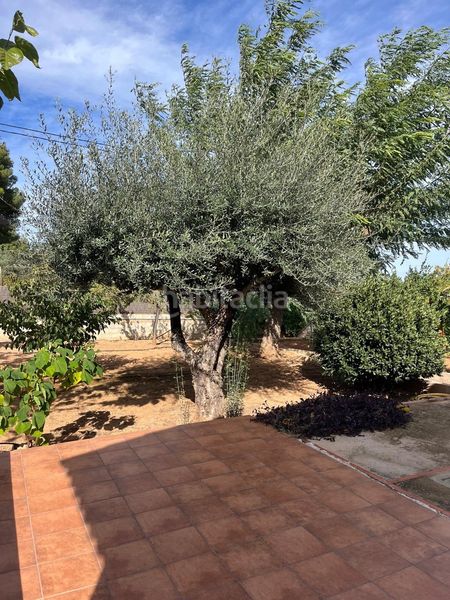 Foto f2037707-09d2-4129-9453-fbff175ba4f6. Xalet amb calefacció piscina a Llombai
