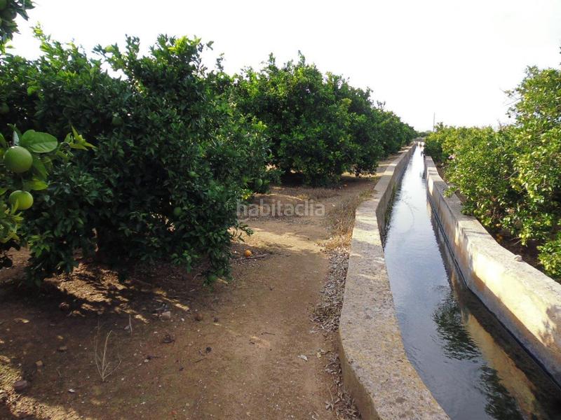 Foto b7e4754e-0da1-406b-9b16-699df58cd9d5. Finca rústica a Urbanitzacions i Pedanies Nord Alzira