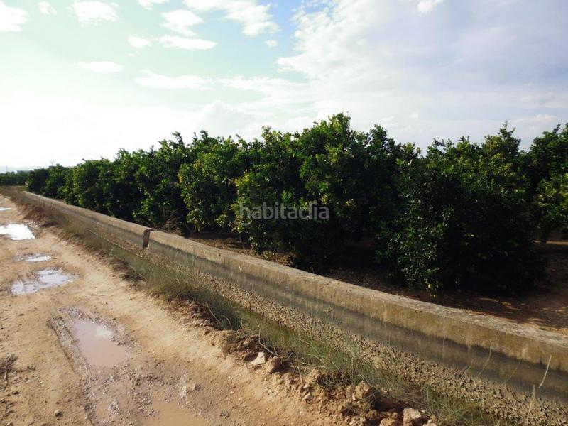 Foto e502a1c3-62a7-40f6-9643-1cdc1f752bbd. Finca rústica a Urbanitzacions i Pedanies Nord Alzira
