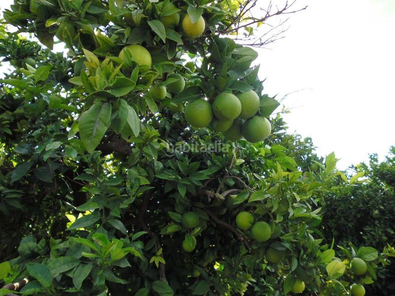 Foto f2b9bff0-05a5-43f2-a2f0-baec17aa5535. Finca rústica a Urbanitzacions i Pedanies Nord Alzira