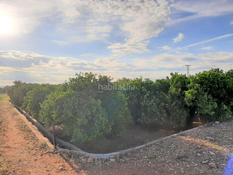 Foto 049b48ea-8cd2-4d4c-bd6f-679d20d22286. Finca rústica parcela rústica en venta zona la vereda del pla en Carcaixent