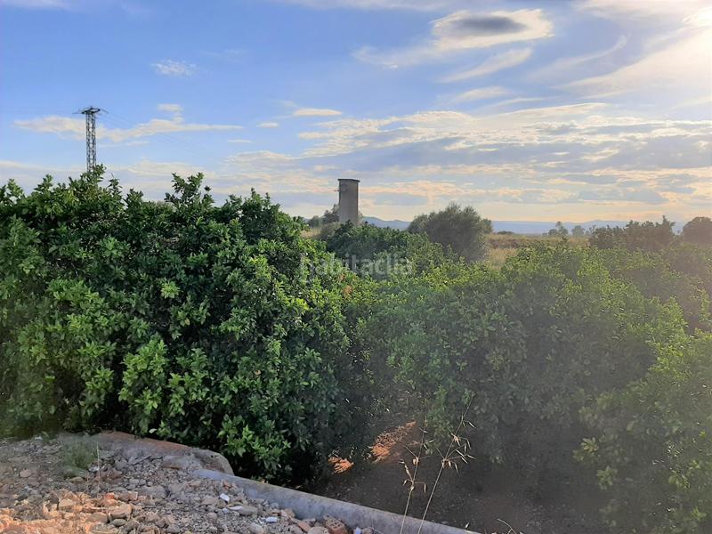 Foto 7ea9f1dd-62ab-4249-8517-b4d3cc402fce. Finca rústica parcela rústica en venta zona la vereda del pla en Carcaixent