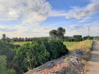Finca rústica a Carcaixent. Parcela rústica en venta  zona la vereda del pla