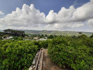 Terrain résidentiel à Urbanitzacions i Pedanies Sud. Estupendo campo en plena producción en la barraca de aguas vivas