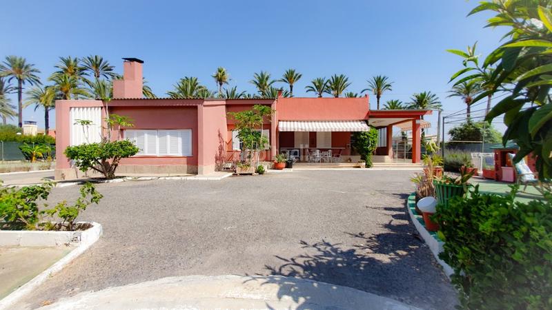 Foto 6484745f-35c6-4cba-825c-bfe3be544dc7. Chalet venta chalet, casa invitados, piscina, pista deportiva, huerto, zona hospital elche en Elche / Elx